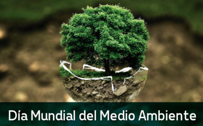 Día Mundial del Medio Ambiente