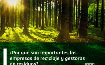¿Son importantes las empresas de reciclaje y gestoras de residuos?