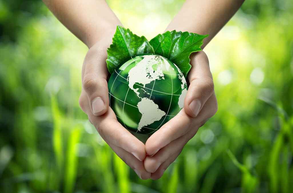 En algunos países reciclar tiene premio