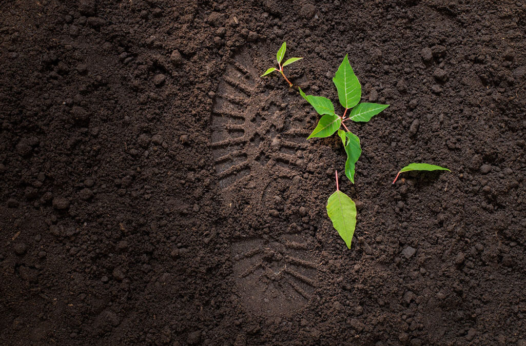 Los beneficios de calcular la huella ambiental