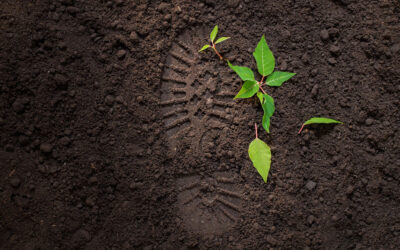 Los beneficios de calcular la huella ambiental