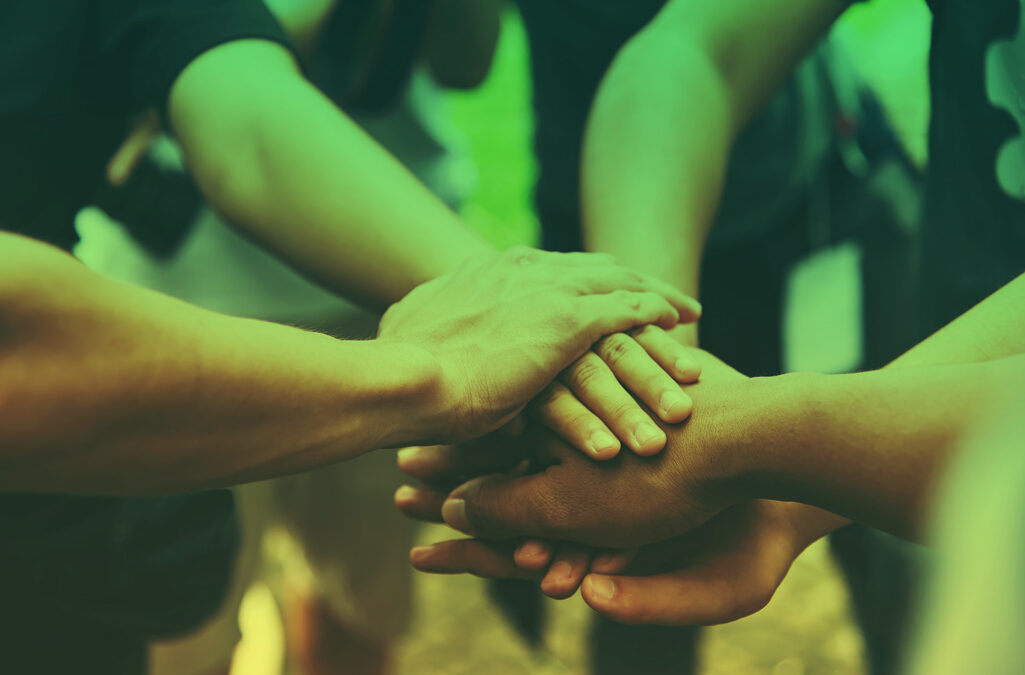 Regusa solidaria: dando a conocer el síndrome CTNNB1