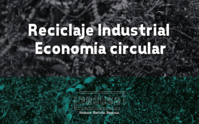La importancia del reciclaje industrial en la economía circular